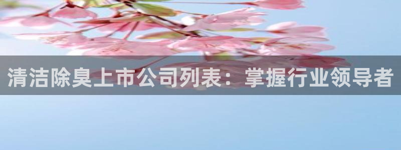 尊龙官方：清洁除臭上市公司列表：掌握行业领导者