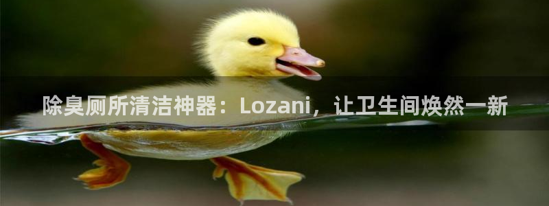 凯时尊龙平台登录：除臭厕所清洁神器：Lozani，让卫生