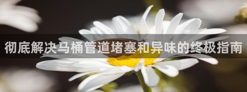 尊龙人生就是博i可靠吗：彻底解决马桶管道堵塞和异味的终极