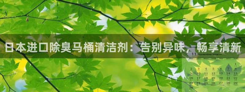 尊龙凯时登录：日本进口除臭马桶清洁剂：告别异味，畅享清新