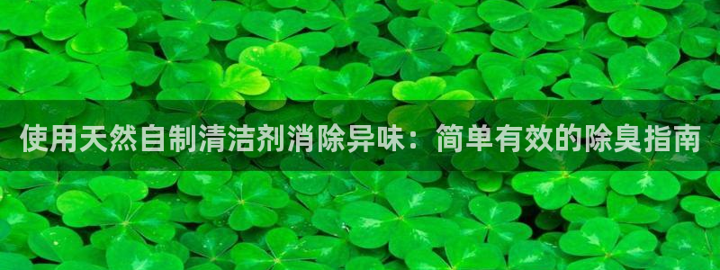 尊龙新版登录网址下载：使用天然自制清洁剂消除异味：简单有