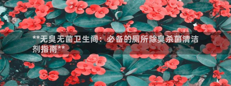 尊龙登录：**无臭无菌卫生间：必备的厕所除臭杀菌清洁
剂