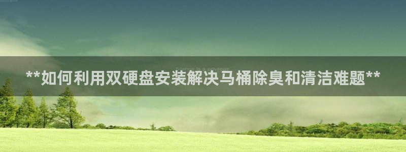 尊龙凯时可以提现吗：**如何利用双硬盘安装解决马桶除臭和