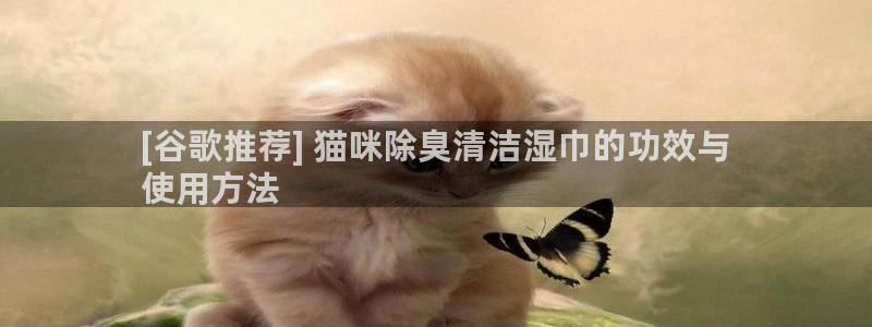 尊龙人生就是一博!：[谷歌推荐] 猫咪除臭清洁湿巾的功效