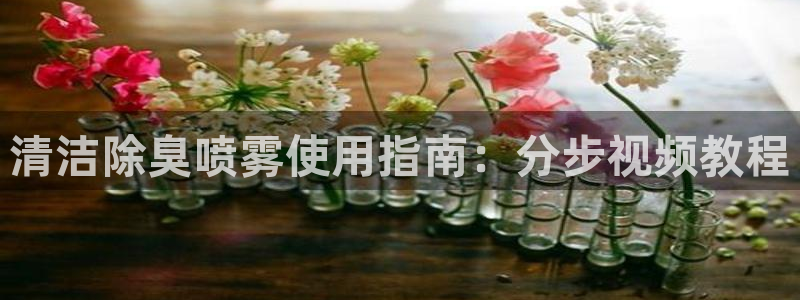 尊龙凯时登录：清洁除臭喷雾使用指南：分步视频教程