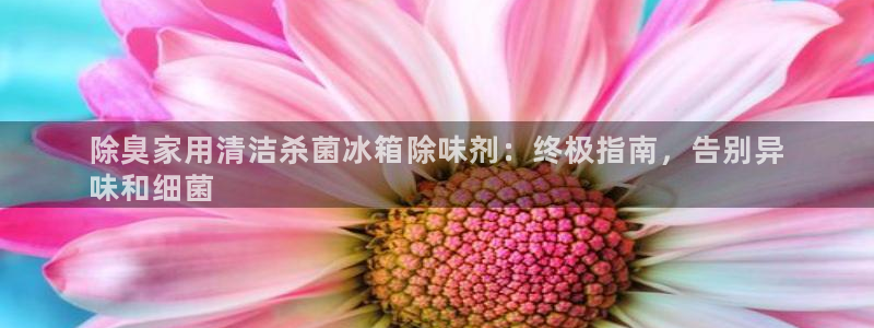 尊龙凯时代理佣金发不发：除臭家用清洁杀菌冰箱除味剂：终极