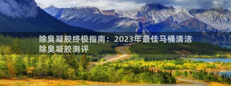 尊龙游戏官方网：除臭凝胶终极指南：2023年最佳马桶清洁