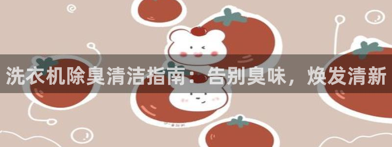 凯时国际app首页登录入口：洗衣机除臭清洁指南：告别臭味