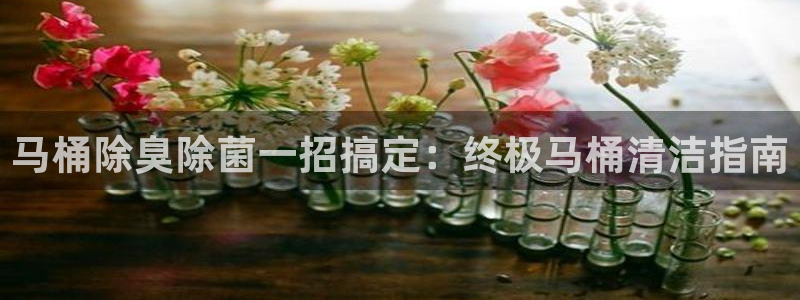 尊龙凯时ag旗舰厅官方网站：马桶除臭除菌一招搞定：终极马