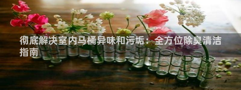 尊龙集团有限公司招聘：彻底解决室内马桶异味和污垢：全方位